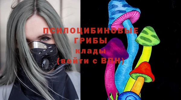 индика Алзамай