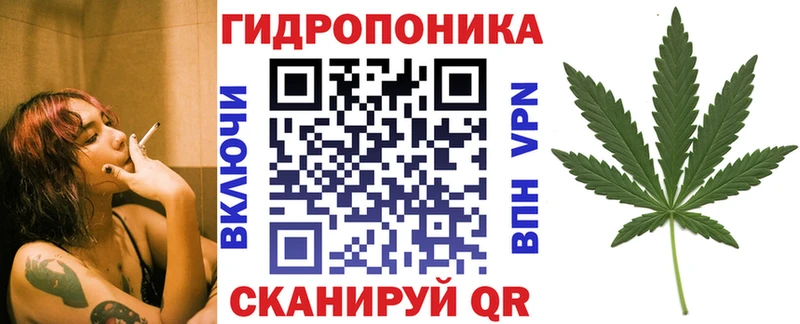 кракен вход  магазин продажи наркотиков  Славск  Канабис конопля 